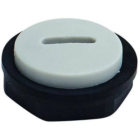 Bizline-207120 BOUCHON + CONTRE-ECROU M/ISO 20 (X 100) 3 Bizline-207120 BOUCHON + CONTRE-ECROU M/ISO 20 (X 100)