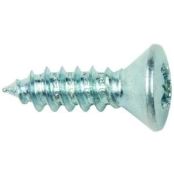 Bizline-770132 Vis Tôle Tête Ovale Phillips® Ø 4.2 X 16 Mm (x 200)